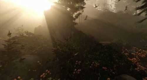 森林游戲手機(jī)版下載-森林游戲手機(jī)版免費(fèi)下載v1.02