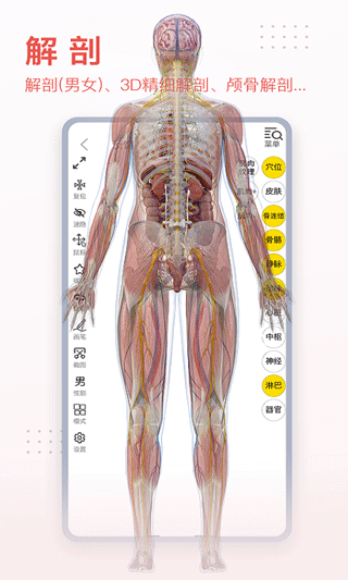 3dbody解剖app下載-3dbody解剖手機(jī)版下載v8.7.23