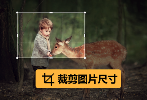 在線裁剪圖片尺寸