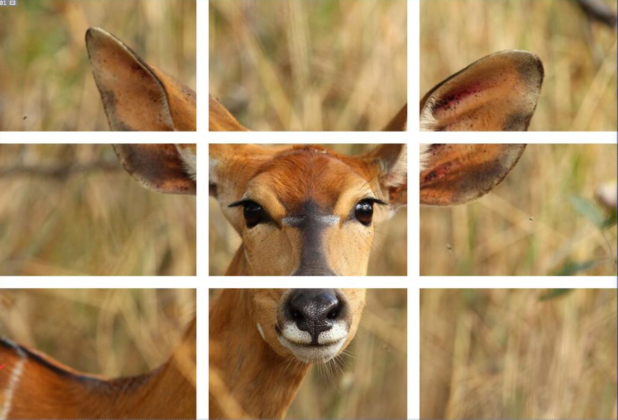 在線免費圖片智能分割-在線圖片切割九宮格