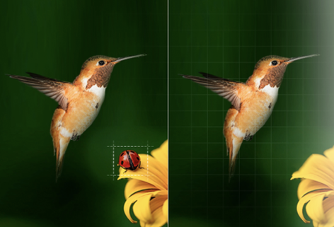 輕松去除圖片中的全部遮擋物