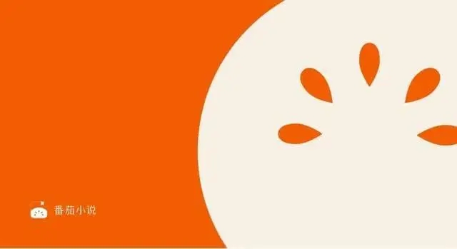 番茄小說(shuō)怎么寫(xiě)小說(shuō)