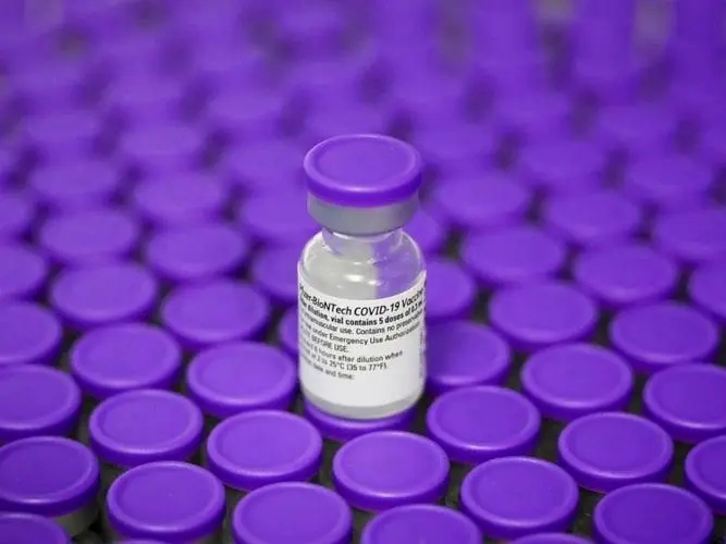 粵苗怎么查看接種憑證