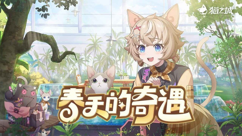 貓之城國際服