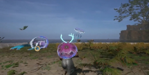 落日余暉水母滑翔傘在哪里獲取