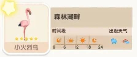 心動(dòng)小鎮(zhèn)小火烈鳥(niǎo)在哪-心動(dòng)小鎮(zhèn)小火烈鳥(niǎo)位置及時(shí)間攻略 心動(dòng)小鎮(zhèn)小火烈鳥(niǎo)在哪-心動(dòng)小鎮(zhèn)小火烈鳥(niǎo)位置及時(shí)間攻略