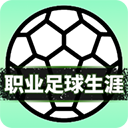 職業(yè)足球生涯