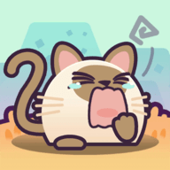 喵了個(gè)貓貓