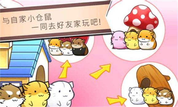 倉鼠的日常無限金幣奶酪版