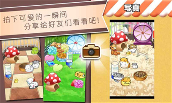 倉鼠的日常無限金幣奶酪版
