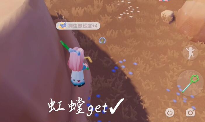 心動小鎮如何捕蟲-心動小鎮捕蟲攻略