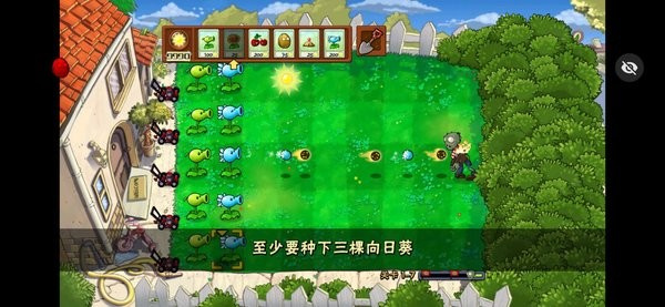 植物大戰(zhàn)僵尸活死人之園