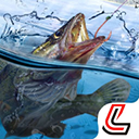 天天釣魚(yú)無(wú)限金幣最新版