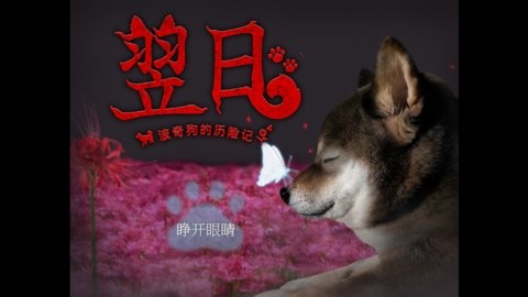 翌日波奇狗的歷險(xiǎn)記