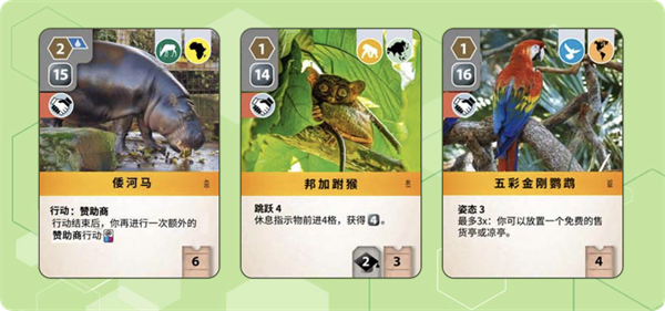 卡牌介紹
