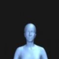 bodyvisualizer模擬器中文(...