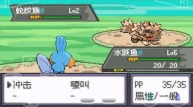 精靈寶可夢綠寶石隨機版