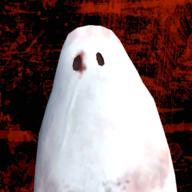 超自然現象多人聯機(Paranormal)