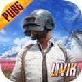 地鐵逃生體驗(yàn)服(BETA PUBG MOBILE)