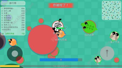 叢林大作戰