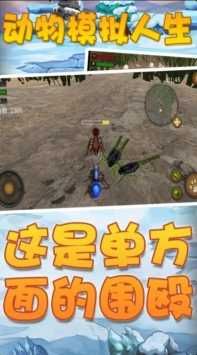 模擬動物人生