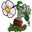 植物大戰(zhàn)僵尸東方版(PvZ)