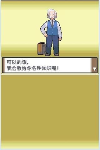 口袋妖怪白金漢化版