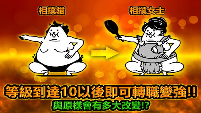 貓咪大戰(zhàn)爭