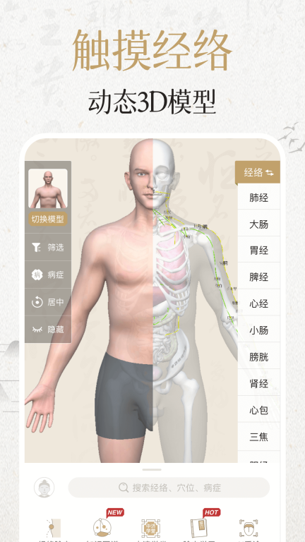 中濟經絡穴位