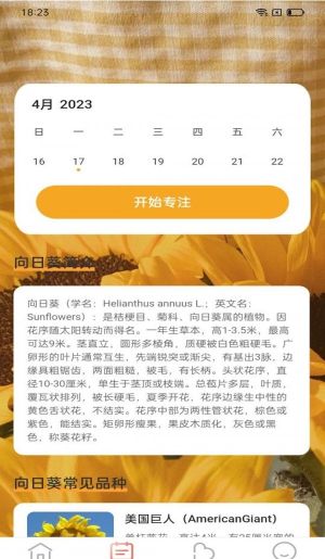 百花步數