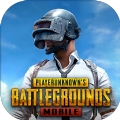 蜂蜜柚子pubg國(guó)體直裝