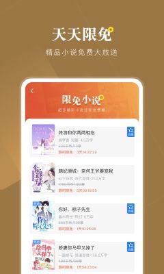 小說會