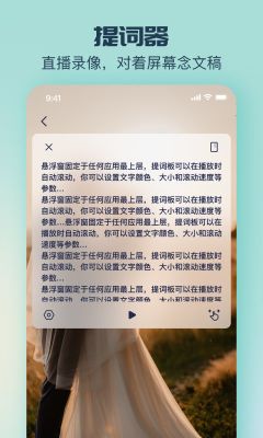 臉貓