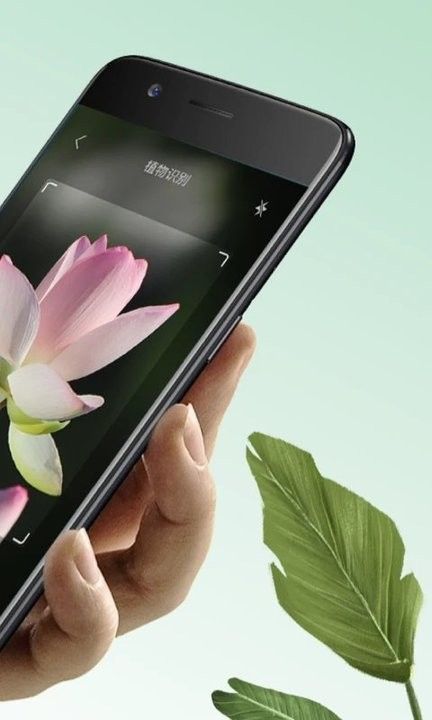 植物大師