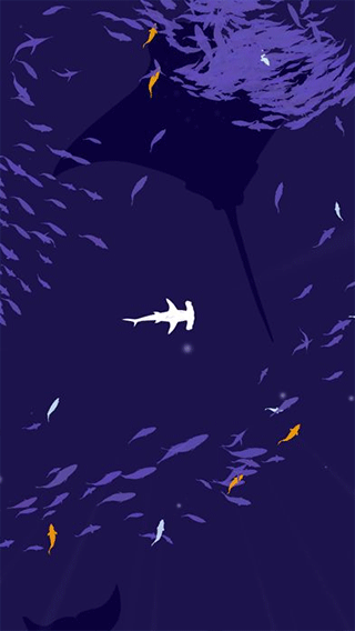 深海魚(yú)群(Shoal of fish)