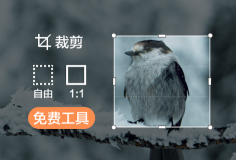 免費(fèi)裁剪圖片尺寸大小