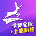 上鹿學車