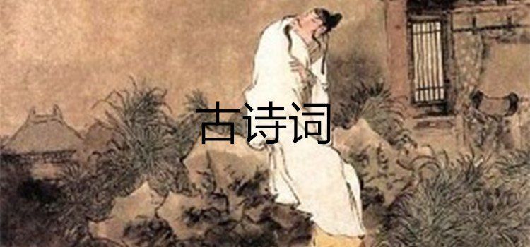 免費(fèi)學(xué)古詩(shī)詞app排行榜