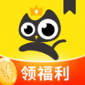 飛貓免費小說