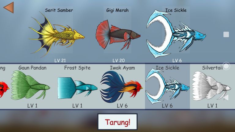 斗魚戰斗