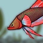 斗魚戰斗