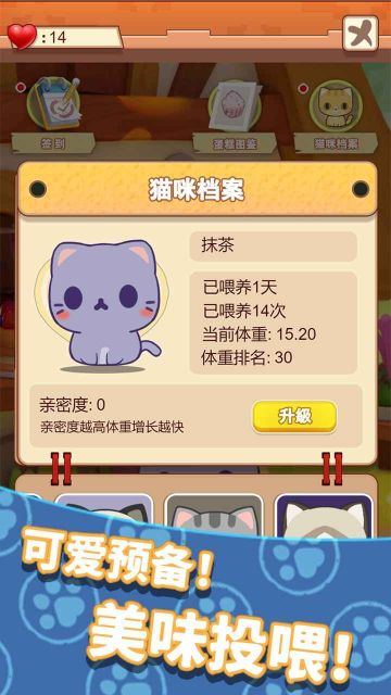 養(yǎng)只大肥貓