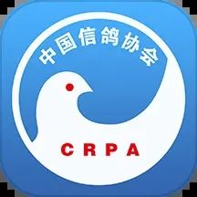 中國信鴿協(xié)會(huì)