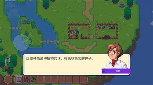 月光石島