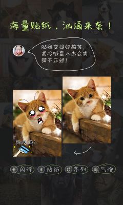 萌寵相機