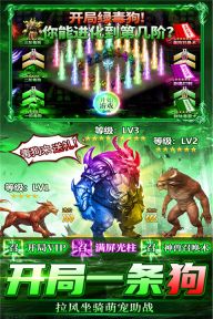 雷神戰紀傳奇
