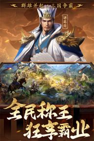 三國志戰棋天下